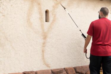 Pest Control Phoenix Az