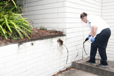 Termite And Pest Control Near Me